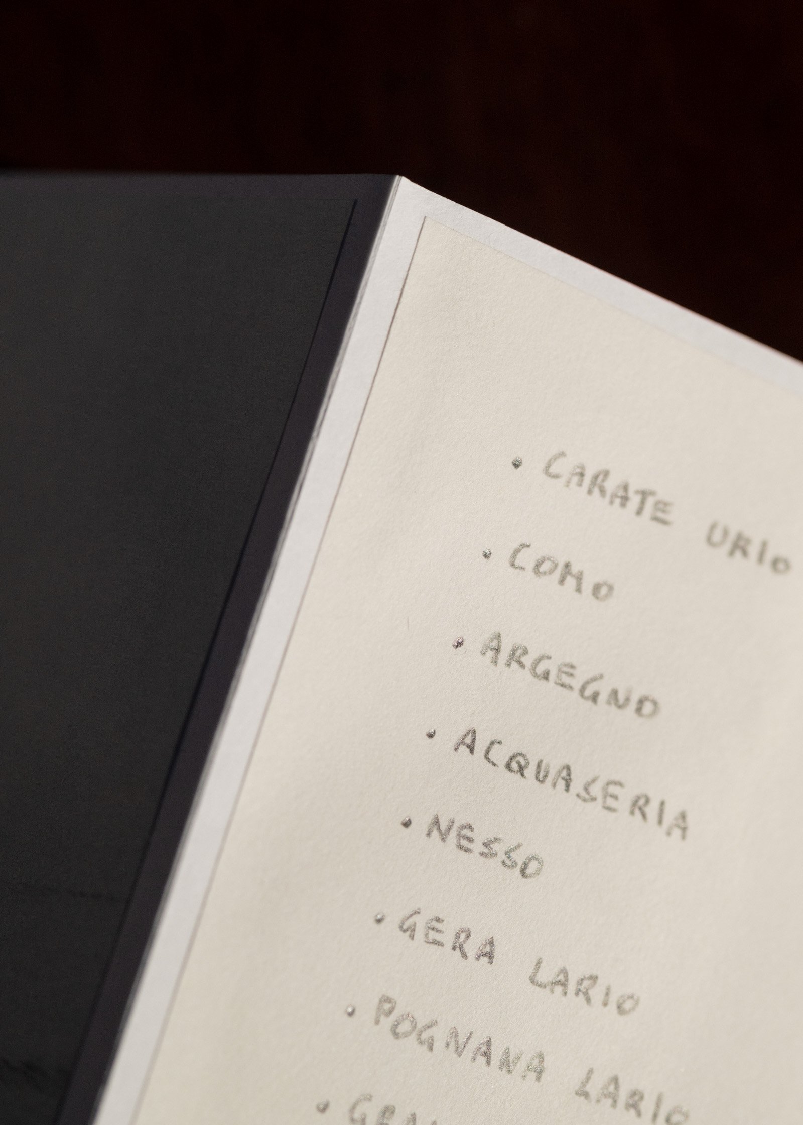Lago di Como — artist book, photograph 13