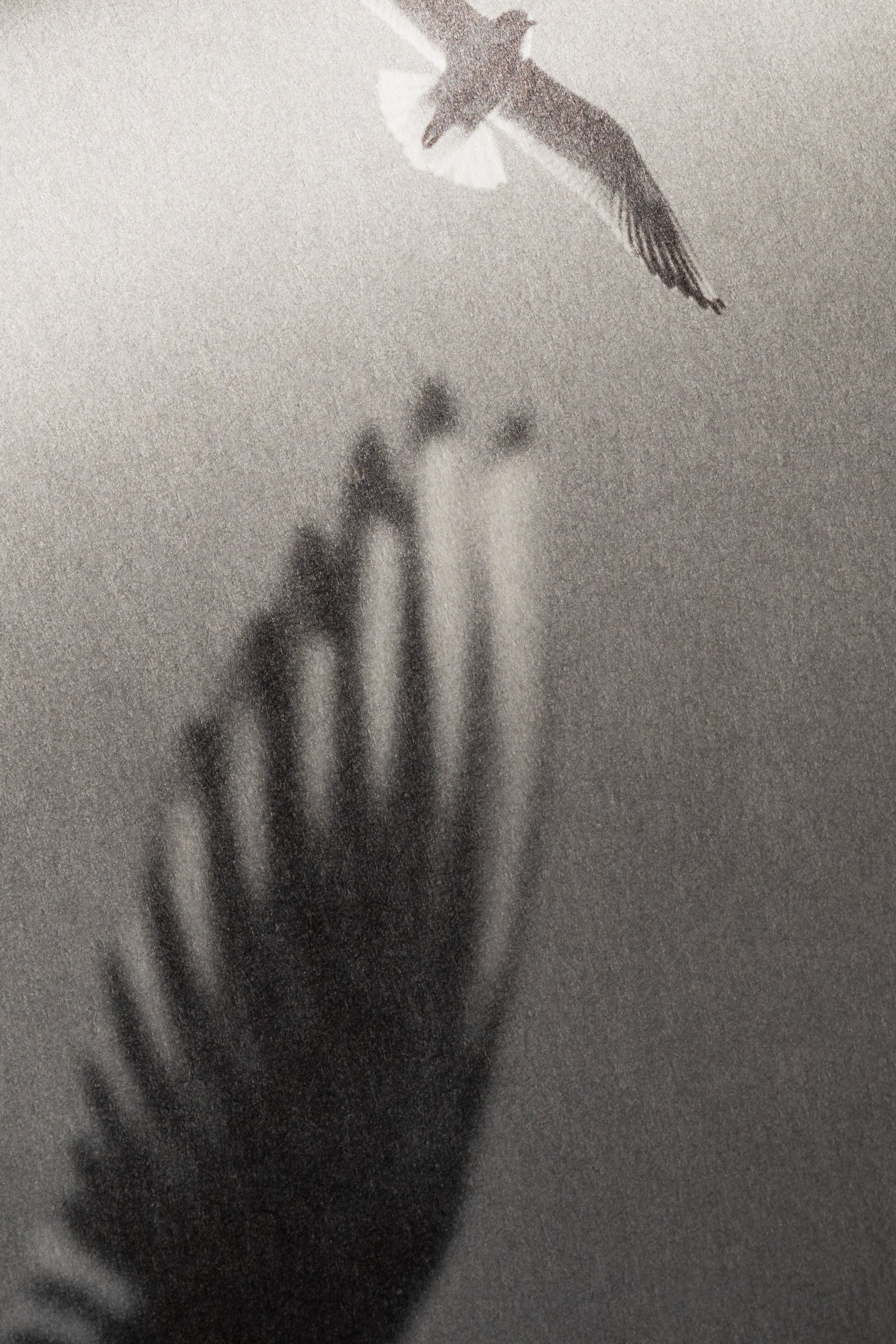 Lago di Como — artist book, photograph 4