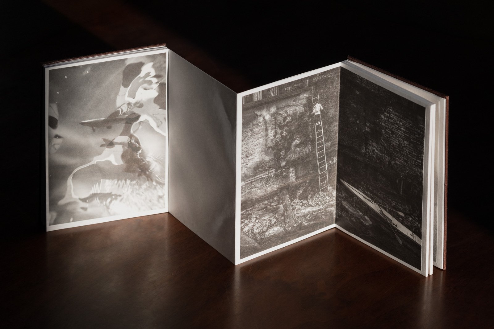Lago di Como — artist book, photograph 8