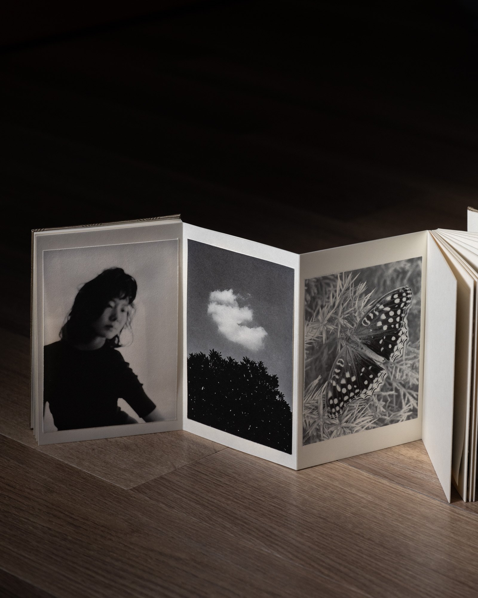 Lago di Como — artist book, photograph 1