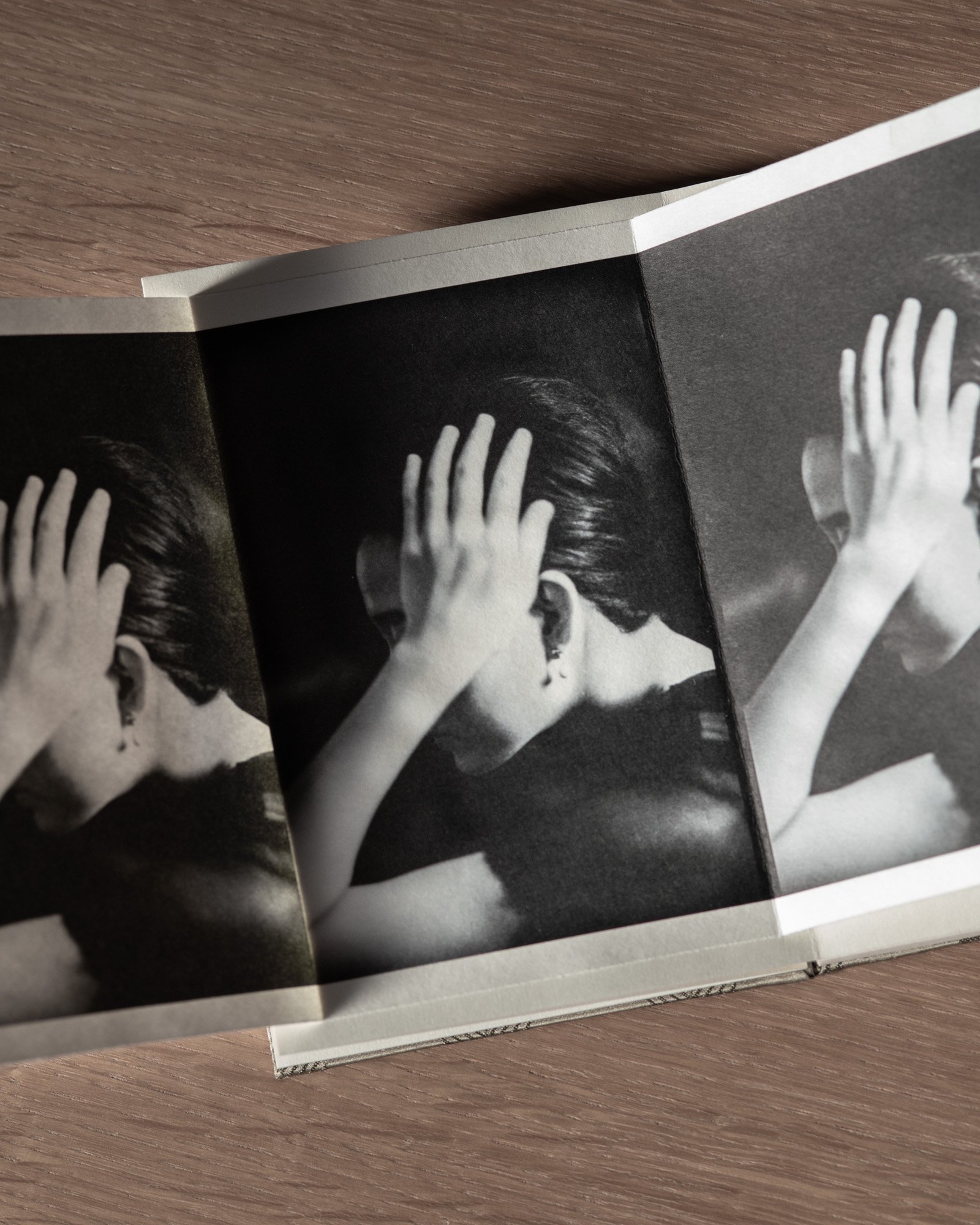Lago di Como — artist book, photograph 10