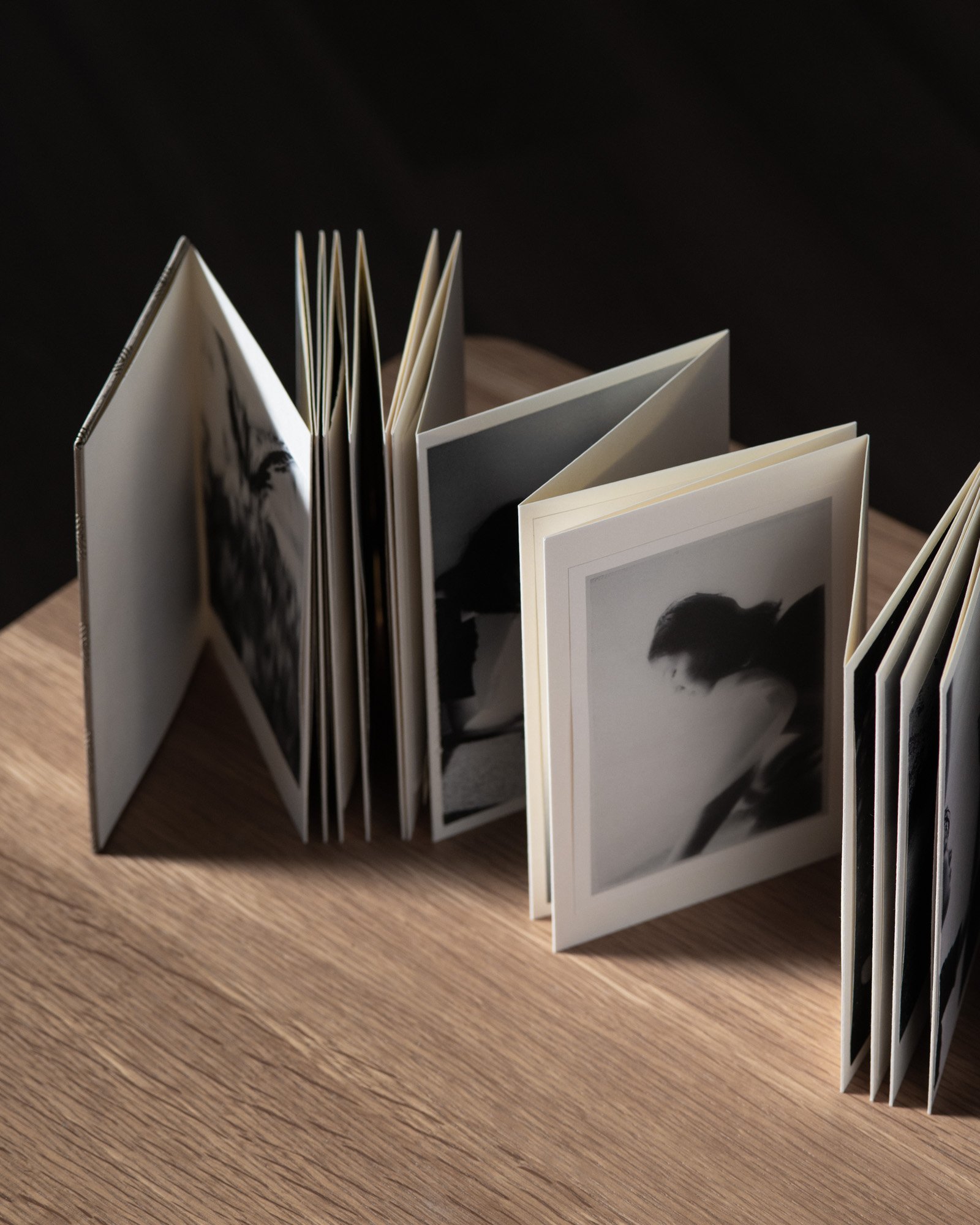 Lago di Como — artist book, photograph 13