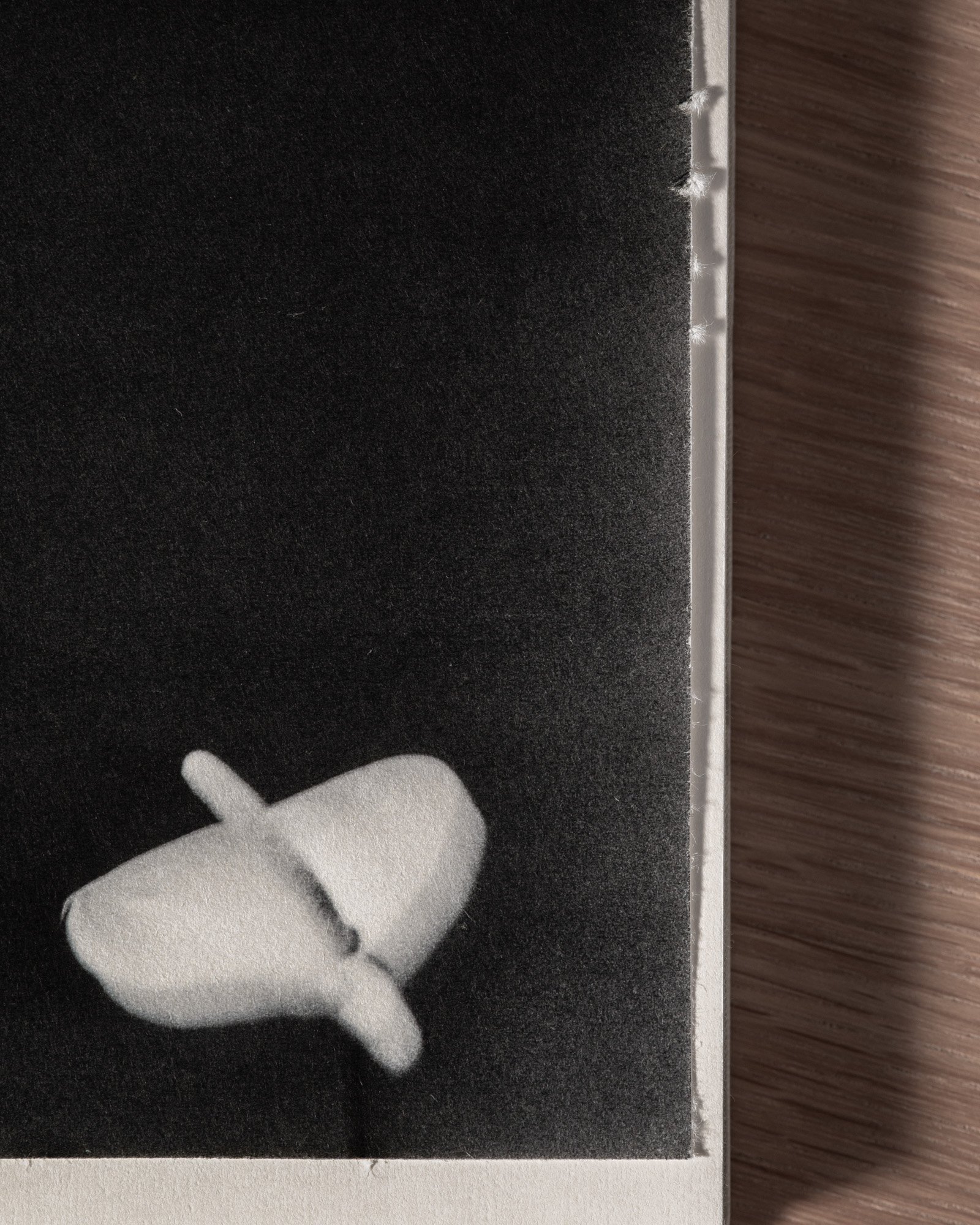 Lago di Como — artist book, photograph 15