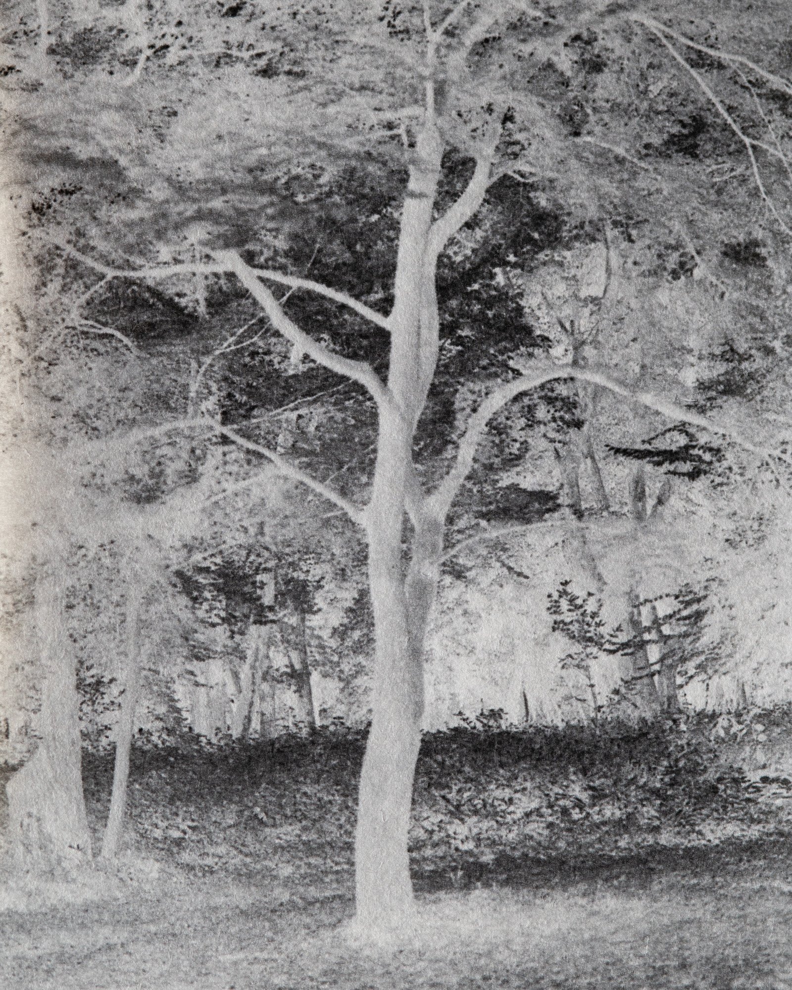 Lago di Como — artist book, photograph 15