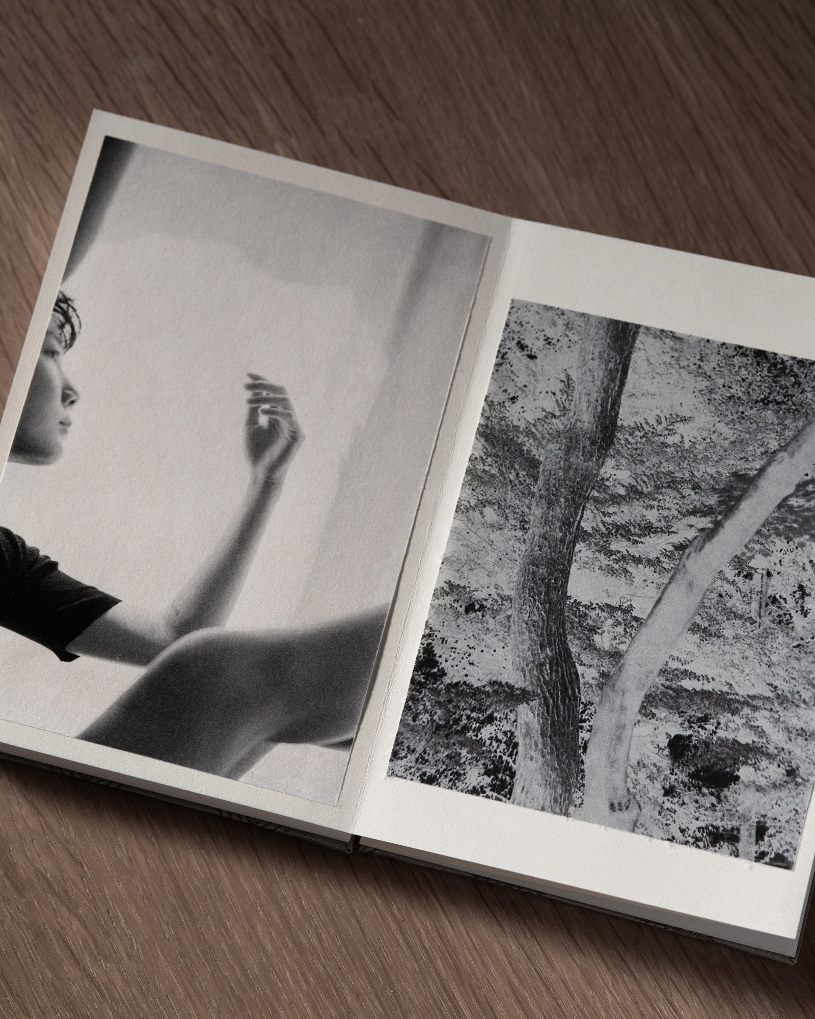Lago di Como — artist book, photograph 3