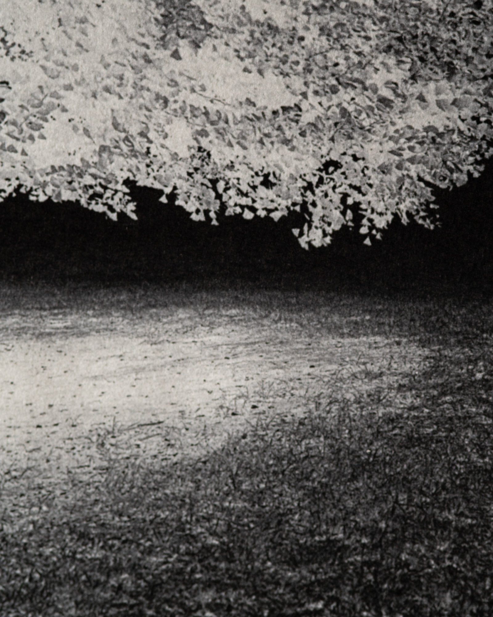 Lago di Como — artist book, photograph 4