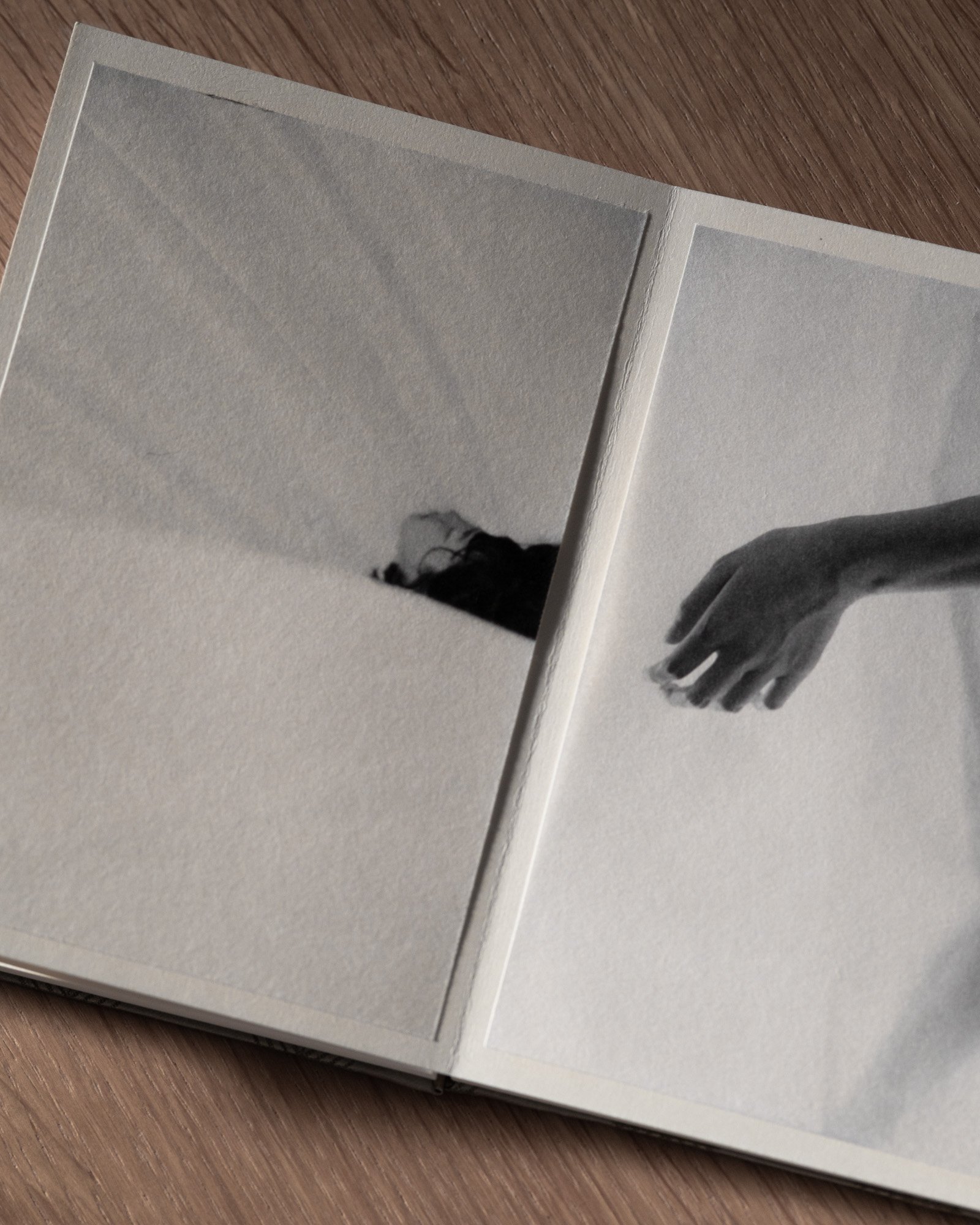 Lago di Como — artist book, photograph 5