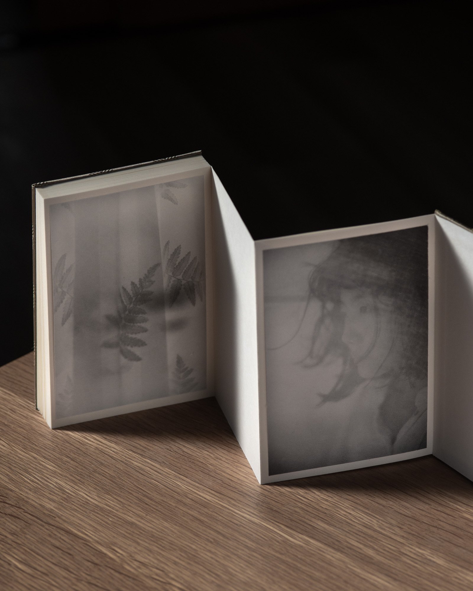 Lago di Como — artist book, photograph 6