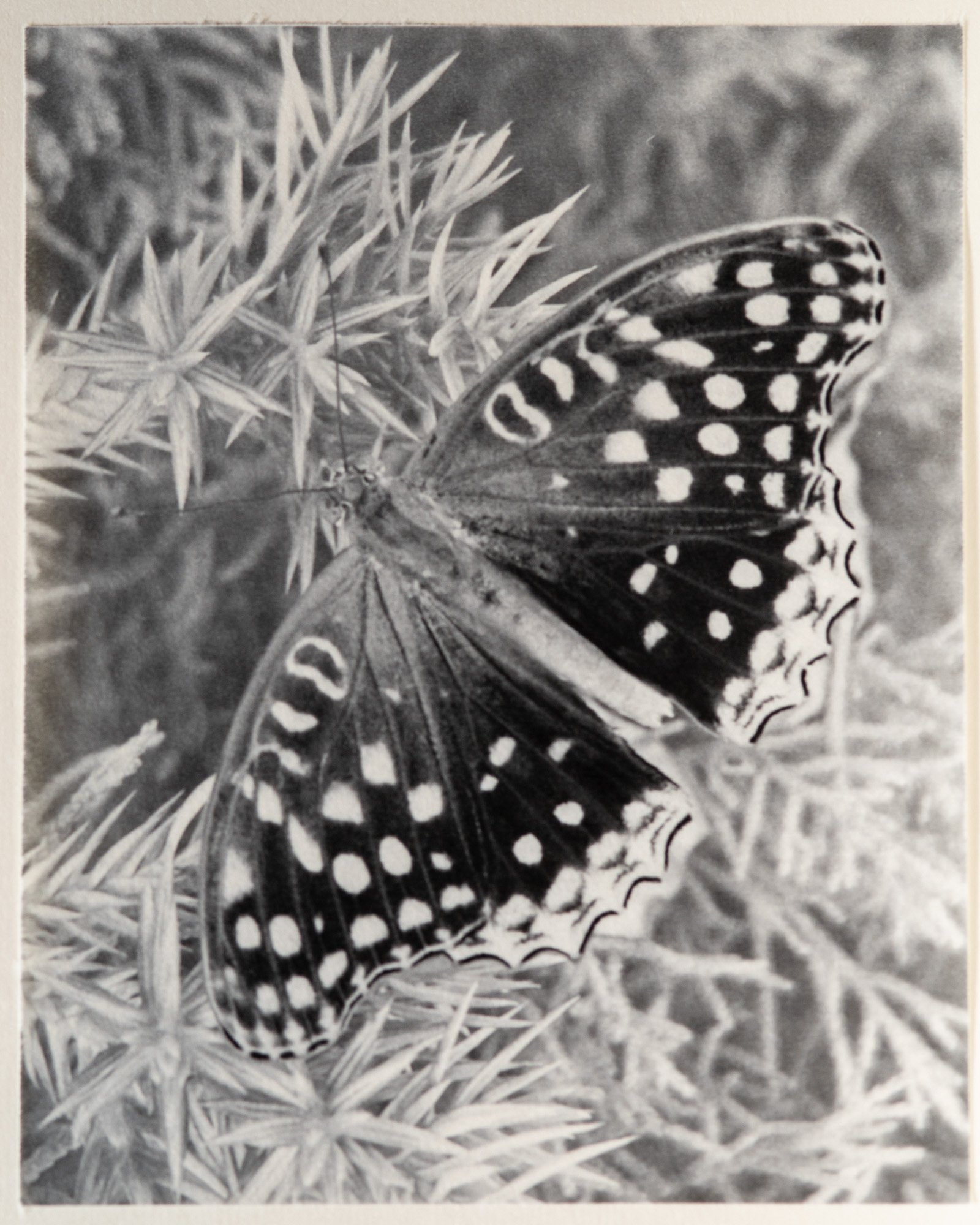 Lago di Como — artist book, photograph 8