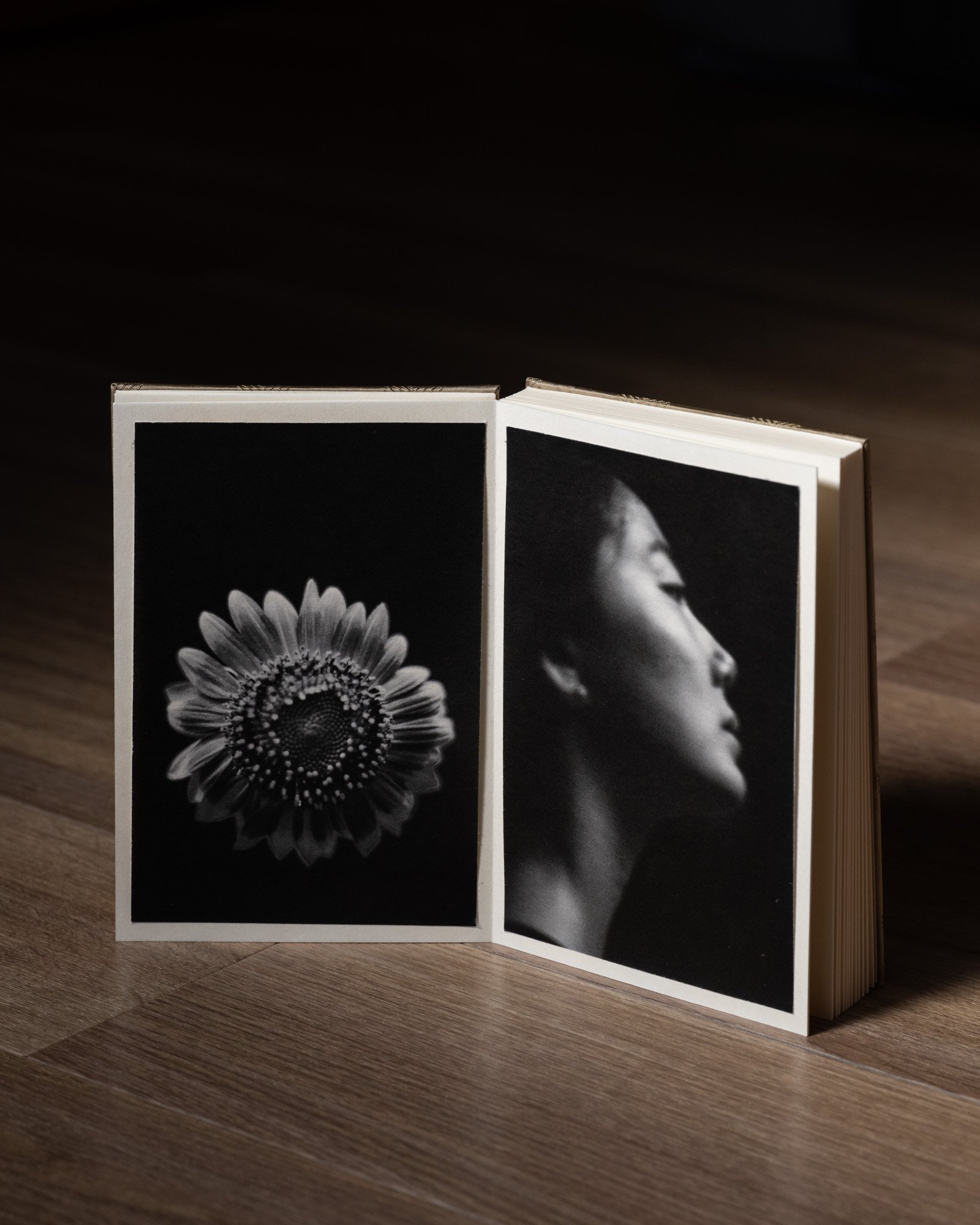 Lago di Como — artist book, photograph 9